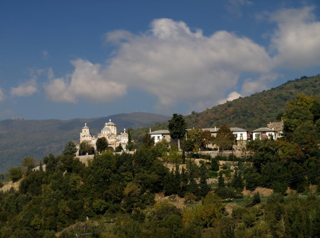 Pelion Goddess Villas Agios Georgios Nilias Værelse billede